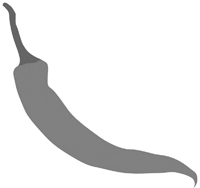 Private Chef Service - Kinthai