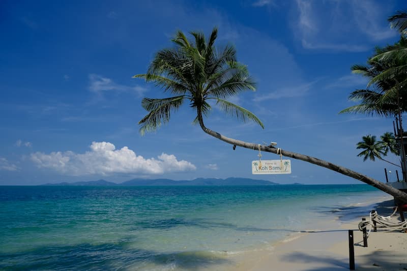 private chef in Koh Samui